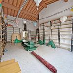 Rent 5 bedroom house of 180 m² in Viareggio