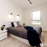 Rent 3 bedroom apartment of 61 m² in Słupsk