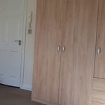 Rent 1 bedroom apartment in Exeter