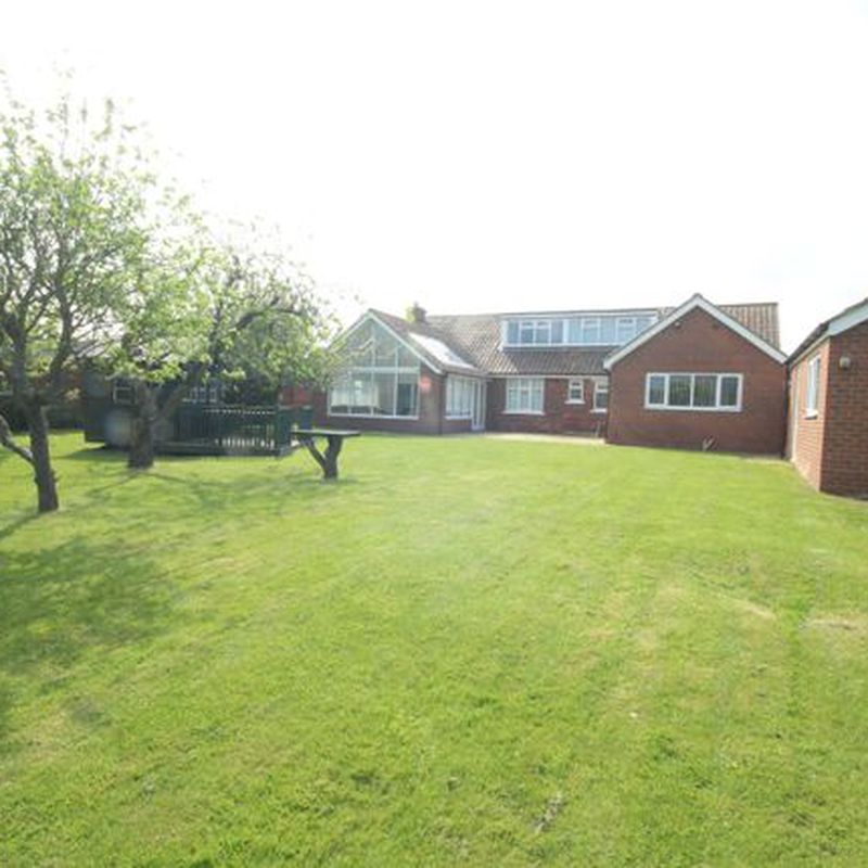 Bungalow to rent in Gypsy Lane, Marton-In-Cleveland, Middlesbrough, North Yorkshire TS7 Nunthorpe