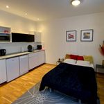 Rent 1 bedroom apartment of 30 m² in Prague