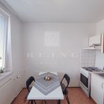 Rent 1 bedroom apartment of 35 m² in Brno