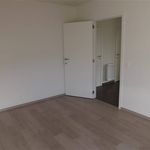 Rent 1 bedroom apartment in Moerbeke