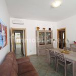Rent 4 bedroom apartment of 105 m² in Castrignano del Capo