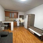 Rent 1 bedroom apartment of 25 m² in Dolní Olešnice