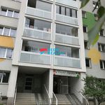 Rent 1 bedroom apartment of 31 m² in Orlová