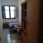 Alquilar 5 dormitorio casa en Salamanca