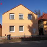 Rent 1 bedroom apartment of 21 m² in Budweis