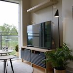 Rent 2 bedroom apartment of 29 m² in Trondheim