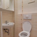 Rent 1 bedroom apartment of 50 m² in Teplice