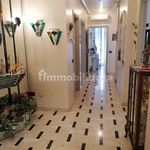 Rent 4 bedroom apartment of 120 m² in Ragusa