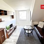 Rent 1 bedroom apartment of 55 m² in Zlín