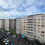 Rent 2 bedroom apartment of 40 m² in Krupka