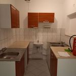 Rent 1 bedroom house of 492 m² in Wrocław