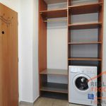 Rent 1 bedroom apartment of 33 m² in Hradec Králové