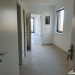 Miete 2 Schlafzimmer wohnung von 59 m² in Gänserndorf