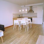 Wynajmij 3 sypialnię apartament z 57 m² w Bolesławiec