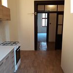 Rent 2 bedroom apartment of 82 m² in Plzeň