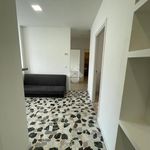 Affitto 5 camera appartamento di 100 m² in Bologna