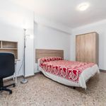Alquilar 5 dormitorio apartamento en Valencia