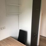 Rent 3 bedroom apartment of 42 m² in Gelsenkirchen