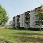 Rent 4 bedroom apartment in Aarwangen