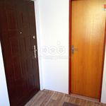 Rent 1 bedroom apartment of 30 m² in Česká Lípa