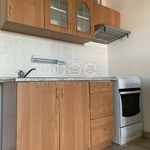 Rent 1 bedroom apartment of 33 m² in Zlín