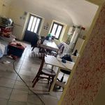 Rent 3 bedroom apartment of 50 m² in Castelletto Cervo
