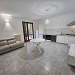 Rent 1 bedroom apartment of 50 m² in Bertinoro