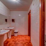 Rent 1 bedroom apartment of 130 m² in Burgos