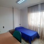 Rent 5 bedroom apartment in Murcia