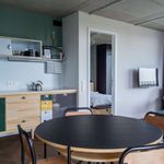 Miete 1 Schlafzimmer wohnung von 64 m² in berlin