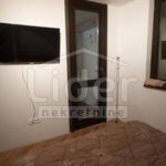 Najam 2 spavaće sobe stan od 40 m² u Rijeka