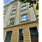 Rent 4 bedroom apartment of 132 m² in Plzeň