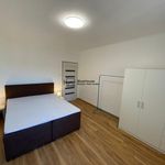 Pronajměte si 2 ložnic/e byt o rozloze 63 m² v Kladno