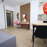 Rent 1 bedroom apartment of 25 m² in Tarnów