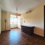 Rent 5 bedroom house of 145 m² in Bari