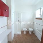 Rent 2 bedroom apartment of 40 m² in Cavallino