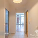 Rent 2 bedroom apartment of 58 m² in Plzeň