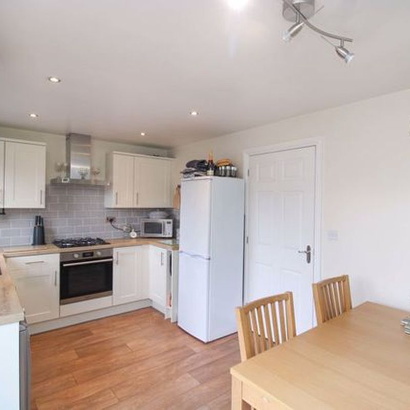 Semi-detached house to rent in Mansfield Grove, Norton Heights ST6 Norton-in-the-Moors