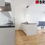 Rent 1 bedroom apartment of 49 m² in Brno