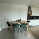 Rent 1 bedroom apartment of 38 m² in Vianen