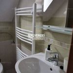 Rent 8 bedroom house of 215 m² in Debrecen