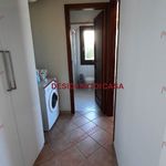 Rent 2 bedroom apartment of 54 m² in Cefalù