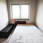 Rent 2 bedroom apartment of 35 m² in Tarnów