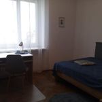 Rent 3 bedroom apartment of 82 m² in Kraków