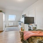 Rent 3 bedroom apartment of 149 m² in Berlare