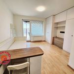 Pronajměte si 1 ložnic/e byt o rozloze 29 m² v Zruč-Senec