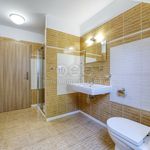 Rent 1 bedroom apartment in Prachatice